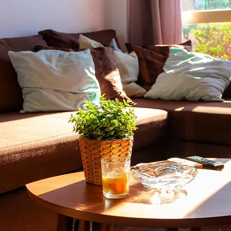 Suitur Elviria View
