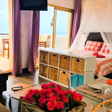 Suitur Elviria View *